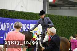 23R13_10499 thumbnail