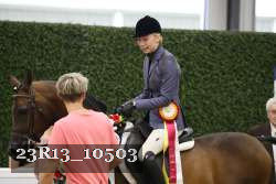 23R13_10503 thumbnail