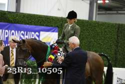 23R13_10505 thumbnail