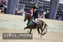 23R13_10509 thumbnail