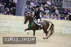 23R13_10510 thumbnail
