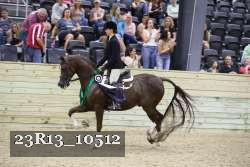 23R13_10512 thumbnail
