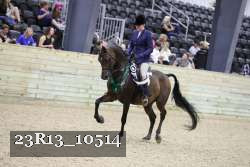 23R13_10514 thumbnail