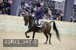 23R13_10515 thumbnail