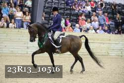 23R13_10516 thumbnail