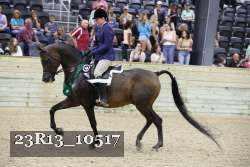 23R13_10517 thumbnail