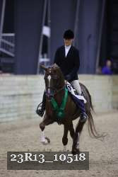 23R13_10518 thumbnail