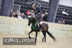 23R13_10519 thumbnail