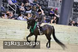 23R13_10520 thumbnail