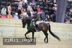 23R13_10521 thumbnail