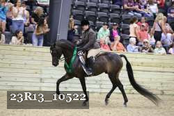 23R13_10522 thumbnail