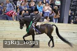 23R13_10523 thumbnail