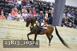 23R13_10524 thumbnail