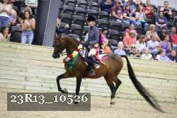 23R13_10526 thumbnail