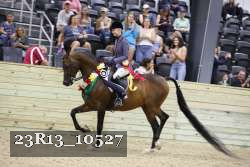23R13_10527 thumbnail