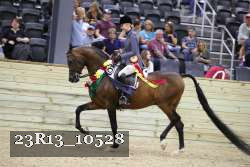 23R13_10528 thumbnail