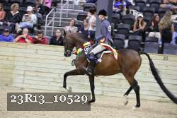 23R13_10529 thumbnail
