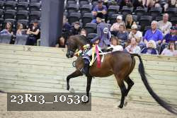 23R13_10530 thumbnail