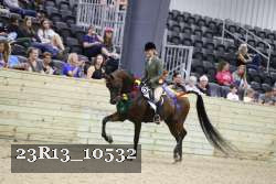 23R13_10532 thumbnail