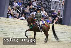 23R13_10533 thumbnail