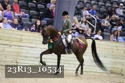23R13_10534 thumbnail