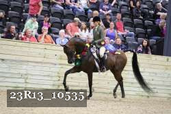 23R13_10535 thumbnail