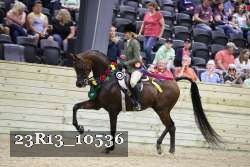 23R13_10536 thumbnail
