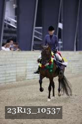 23R13_10537 thumbnail