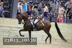 23R13_10539 thumbnail