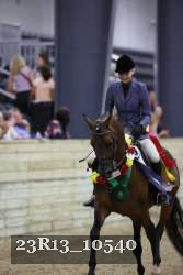 23R13_10540 thumbnail