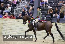 23R13_10542 thumbnail