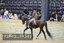 23R13_10544 thumbnail