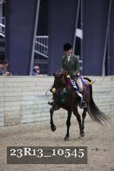 23R13_10545 thumbnail