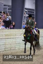 23R13_10546 thumbnail