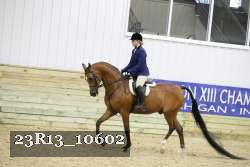 23R13_10602 thumbnail