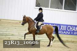 23R13_10606 thumbnail
