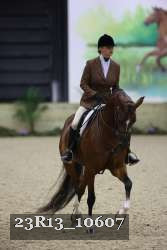 23R13_10607 thumbnail
