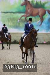 23R13_10611 thumbnail