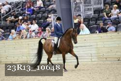 23R13_10648 thumbnail