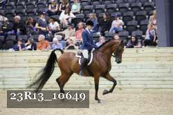23R13_10649 thumbnail