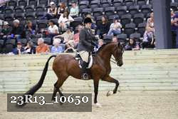 23R13_10650 thumbnail