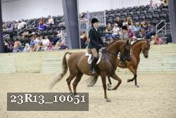 23R13_10651 thumbnail
