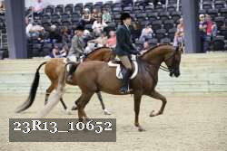 23R13_10652 thumbnail