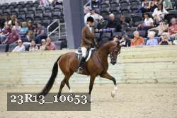 23R13_10653 thumbnail