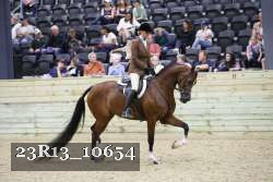 23R13_10654 thumbnail