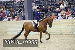 23R13_10655 thumbnail