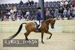 23R13_10656 thumbnail