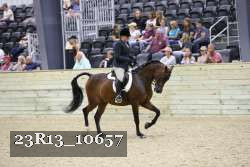 23R13_10657 thumbnail
