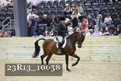 23R13_10658 thumbnail