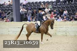 23R13_10659 thumbnail